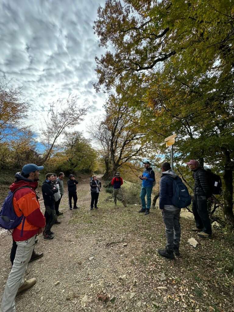 trening новости внутренний туризм, Национальная администрация туризма Грузии, тренинг