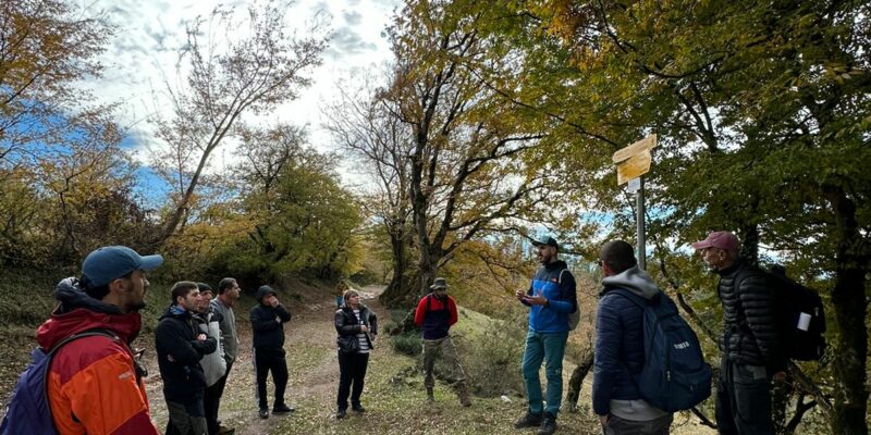 trening новости внутренний туризм, Национальная администрация туризма Грузии, тренинг