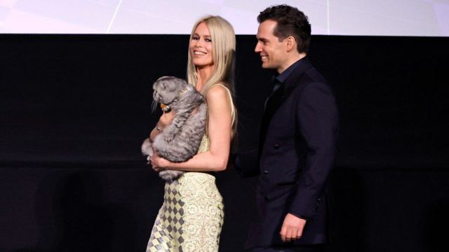 Как кот Клаудии Шиффер затмил всех звезд на премьере фильма «Аргайл» 3 Шиффер, Кавилл и Чип