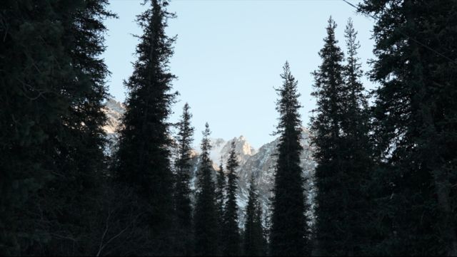 Комплекс, где живут женщины, находится в горах Ала-Тоо