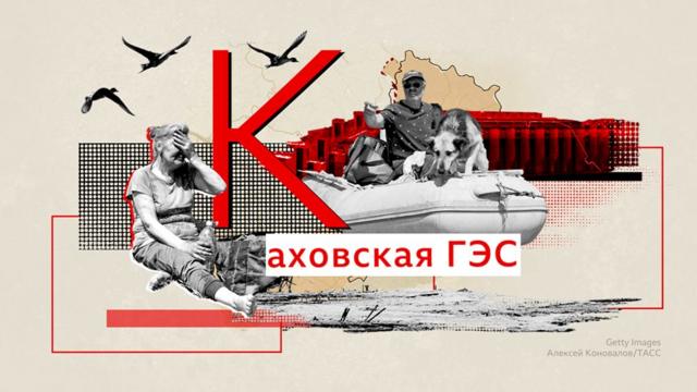 Бавовна, «шторм Z», ИПСО. Словарь первых двух лет войны 8 Графика