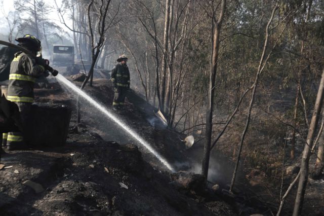 Пожарные тушат пожар у дороги