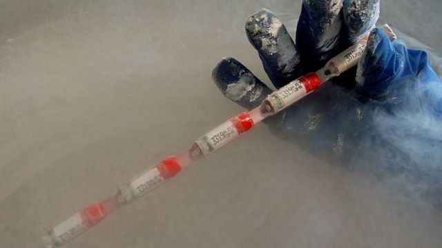 Скандал со спермой погибших военных ВСУ: почему ее хотели уничтожить и как планировать посмертное отцовство 6 Рука в перчатке с пробиркой