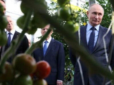 21eff120 e16a 11ee 888a d7d317cd1951 Владимир Путин Владимир Путин