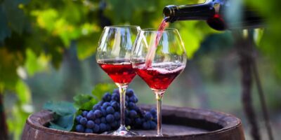 vino экономика виноград, грузинское вино, Национальное агентство вина Грузии