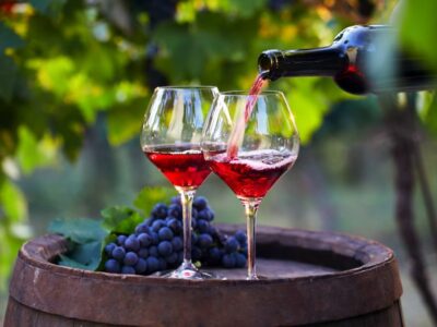 vino новости новости