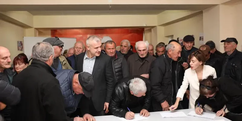 witlidze новости Анна Цитлидзе, Михаил Саакашвили, помилование, Саломе Зурабишвили, экс-президент