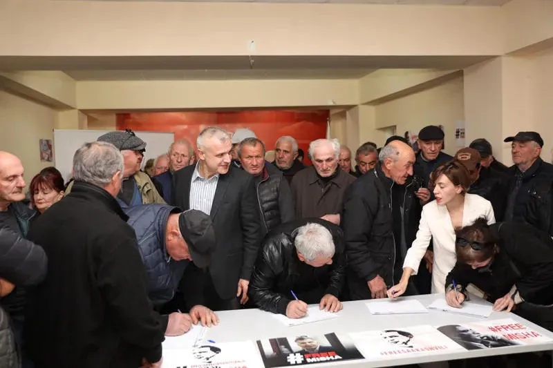 witlidze новости Анна Цитлидзе, Михаил Саакашвили, помилование, Саломе Зурабишвили, экс-президент