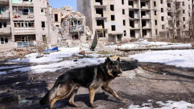 Часов Яр. Почему Украине так важно не потерять эту высоту 7 Овчарка на фоне разрушенных домов