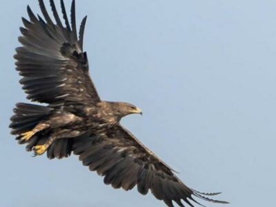 bd198560 179f 11ef b5cc cb8b8c4cef5a война в Украине война в Украине