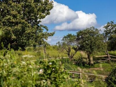 cxinvali zemelnii uchastok Южная Осетия. Цхинвальский регион Южная Осетия. Цхинвальский регион