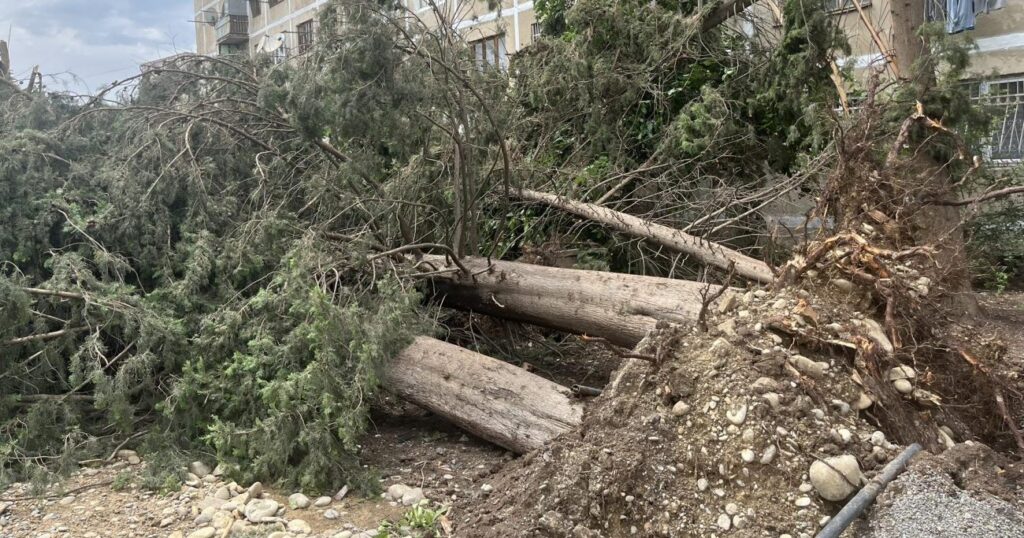 stixia новости мэрия Тбилиси, стихия