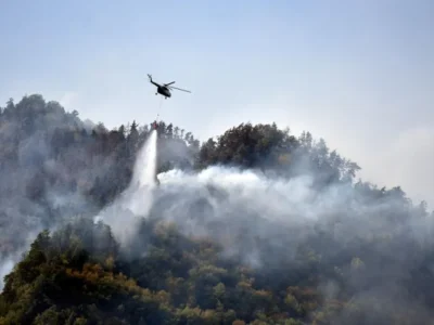 borjomi pojar новости боржоми, боржомский лес, лесные пожары, Служба по управлению чрезвычайными ситуациями