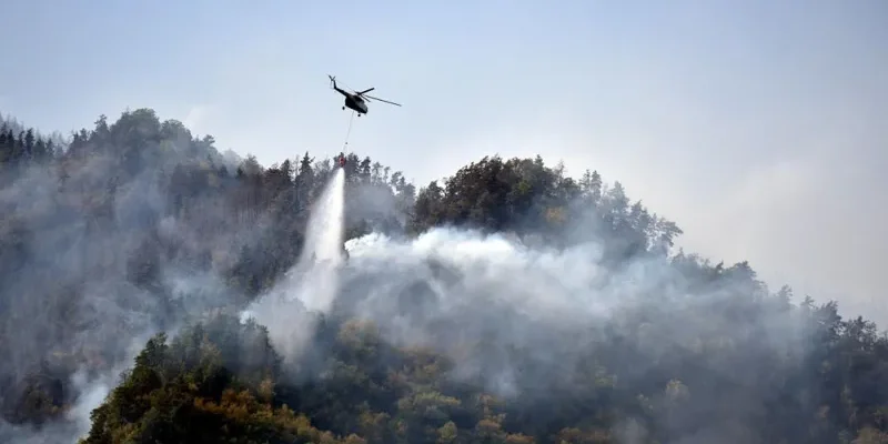 borjomi pojar новости боржоми, боржомский лес, лесные пожары, Служба по управлению чрезвычайными ситуациями