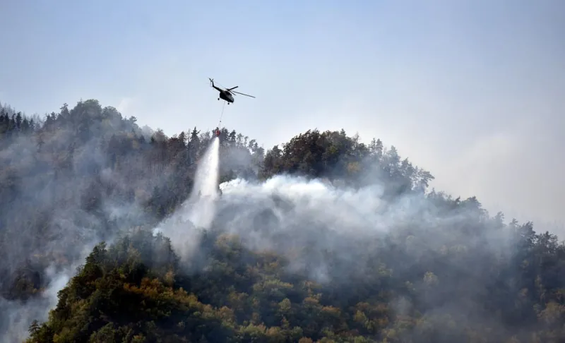 borjomi pojar новости боржоми, боржомский лес, лесные пожары, Служба по управлению чрезвычайными ситуациями