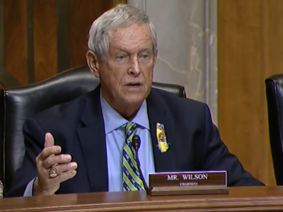 joe wilson США-Грузия США-Грузия