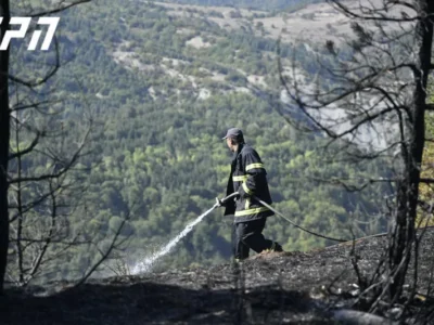 pojar borjomi Боржомское ущелье Боржомское ущелье