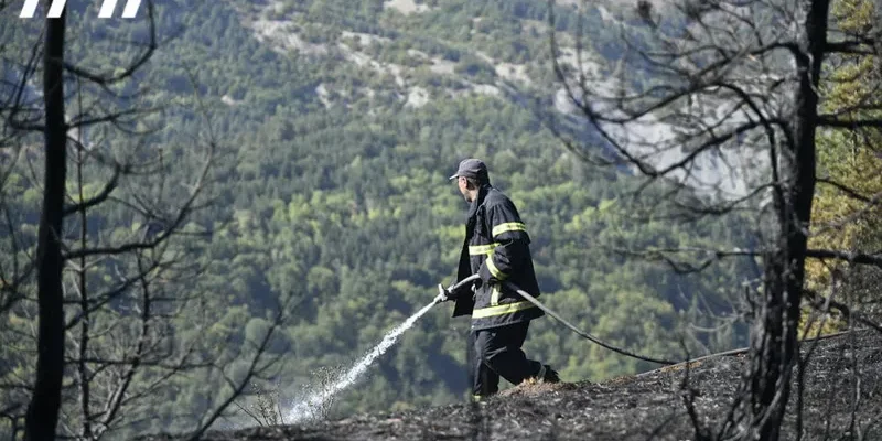 pojar borjomi новости Боржомское ущелье, лесные пожары в Грузии, Служба по управлению чрезвычайными ситуациями