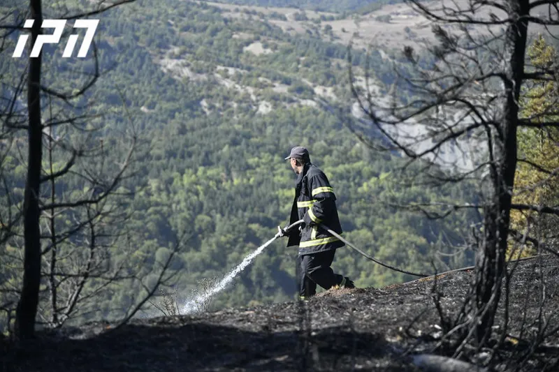 pojar borjomi новости Боржомское ущелье, лесные пожары в Грузии, Служба по управлению чрезвычайными ситуациями