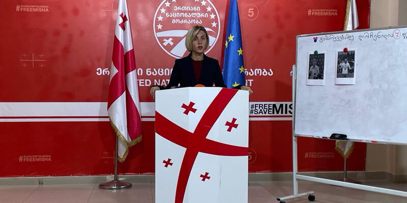 anna citlidze witlidze новости Анна Цитлидзе, выборы, Грузинская мечта, Зугдиди, избиратели, удостоверение личности