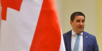 papuashvili flag новости Грузия-Германия, Петер Фишер, посол Германии, Спикер парламента, Шалва Папуашвили