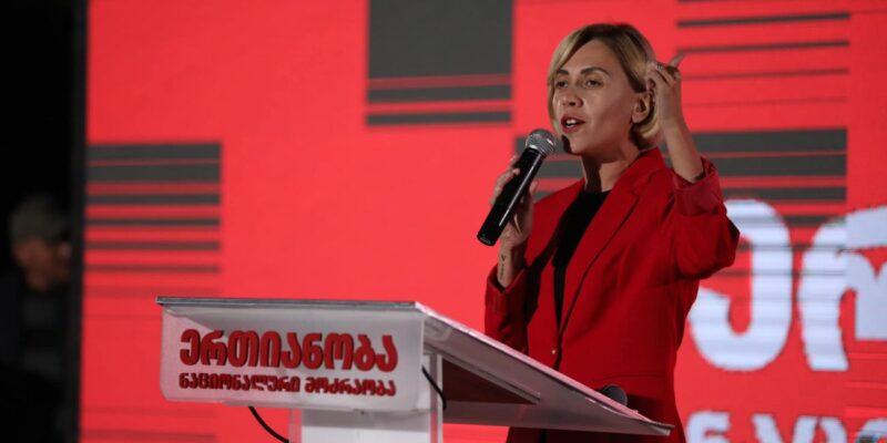 tsitlidze новости Ана Цитлидзе, Зугдиди, Ингури ГЭС, Ингурский мост, леван Мебония, нацдвижение