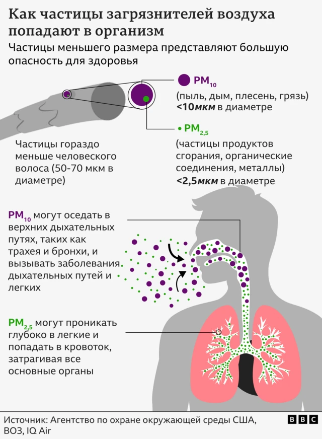 Воздействие загрязненного воздуха на здоровье человека