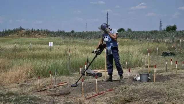 Разминирование близ Снегиревки в Николаевской области, весна 2024 года