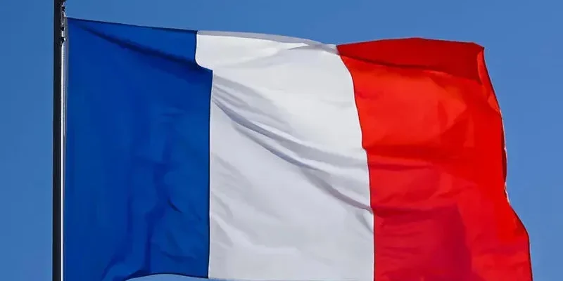 francia flag новости Грузия-Франция, Протест-2024