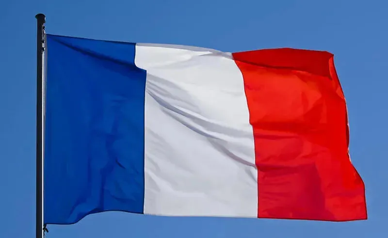 francia flag новости Грузия-Франция, Протест-2024