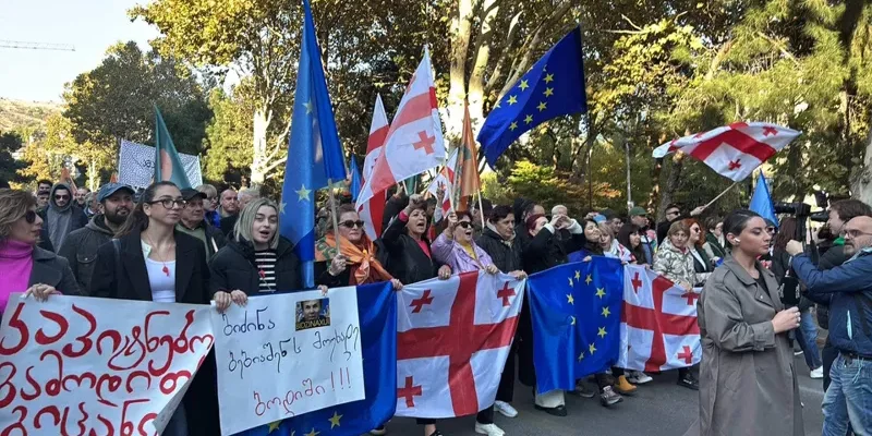 kl новости «Коалиция за перемены», акция протеста в тбилиси, оппозиция Грузии, парламентские выборы в Грузии, протестный марш, Элене Хоштария