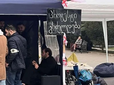 tsu protesti e1732197612789 новости акции протеста, выборы, Джаба Самушия, студенты, ТГУ