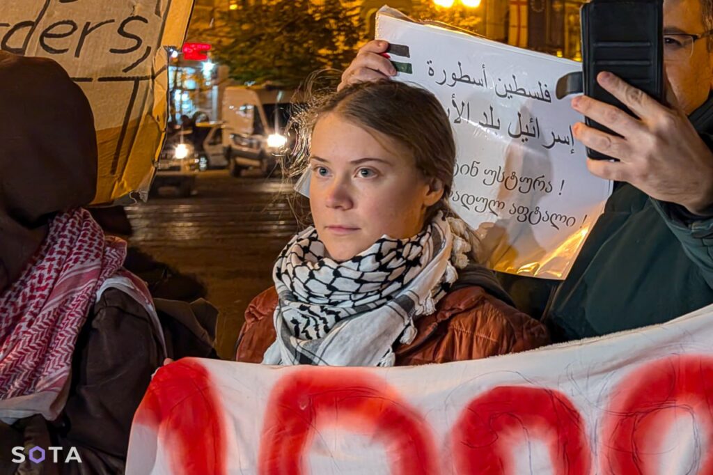 tunberg новости акция протеста в тбилиси, Грета Тунберг, грузия-азербайджан, Конференция ООН по изменению климата