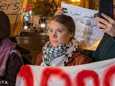 tunberg новости акция протеста в тбилиси, Грета Тунберг