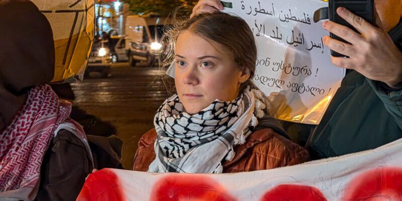 Шведская экоактивистка Тунберг проводит митинг в Тбилиси 1 tunberg новости акция протеста в тбилиси, Грета Тунберг, грузия-азербайджан, Конференция ООН по изменению климата