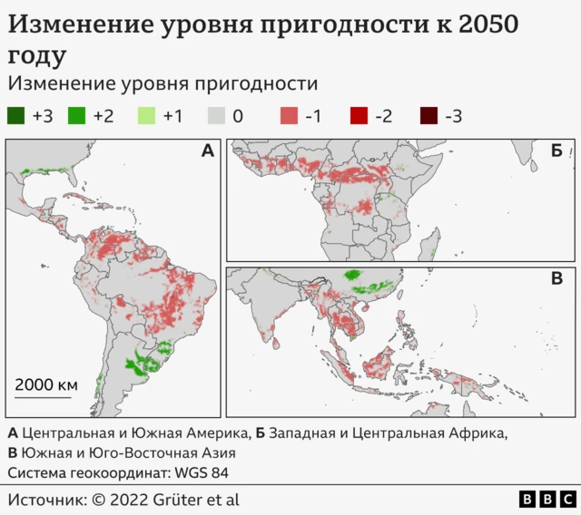 Карта с районами, подходящими для выращивания кофе, по рассчетам ученых на 2050 год.