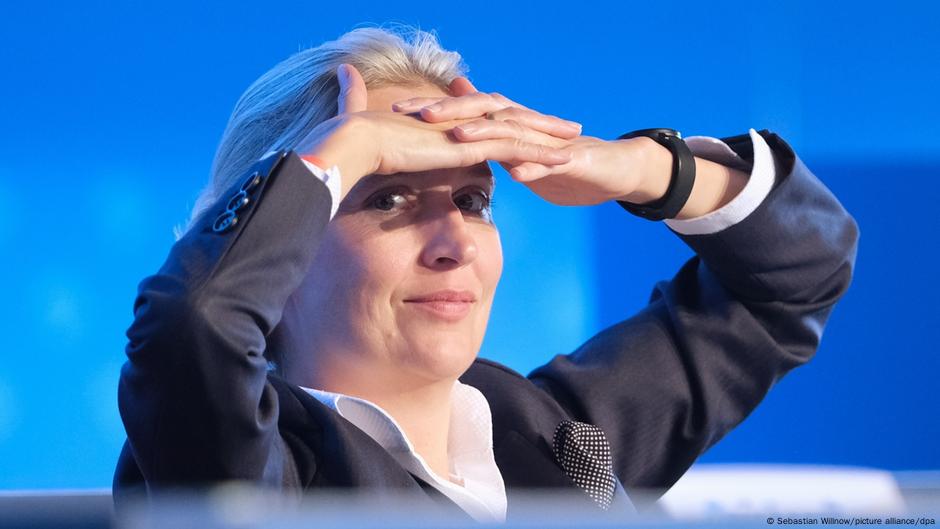 66494295 403 Deutsche Welle Алис Вайдель