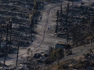 71276003 403 Deutsche Welle лесные пожары