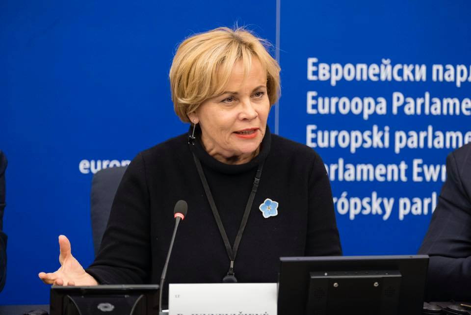 rasa iuknyavichene новости Бидзина Иванишвили, Европарламент, Раса Юкнявичене, санкции ЕС