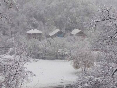 guria didi tovli новости Гурия, Озургети, село Шрома, снегопад