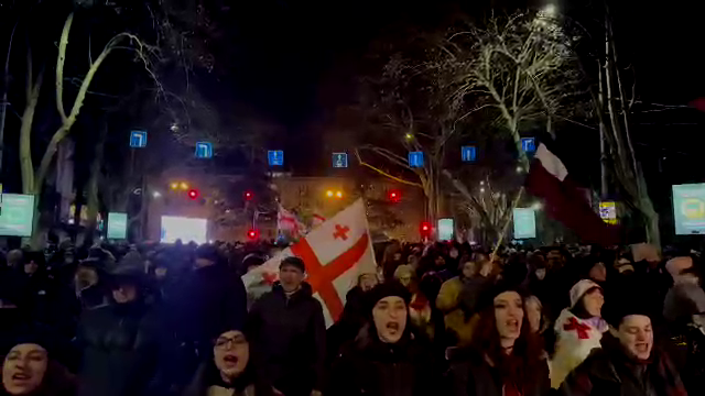 miting новости акция протеста в тбилиси, День оккупации, протестный марш, Саломе Зурабишвили