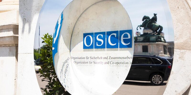 obse osce новости Грузия-Норвегия, Грузия-ОБСЕ, Грузия-США, Джо Уилсон, Сив Мослет