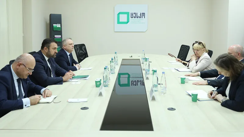 31321 новости БДИПЧ/ОБСЕ, Центральная избирательная комиссия, ЦИК Грузии