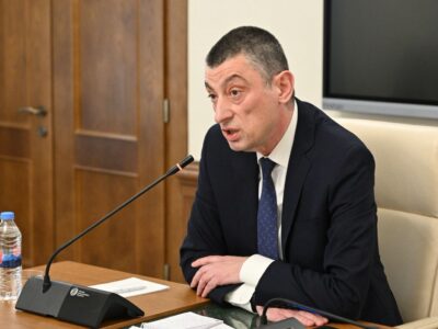 gaxaria 1 новости «Гахария за Грузию», временная комиссия, Георгий Гахария, Тея Цулукиани, Чорчана