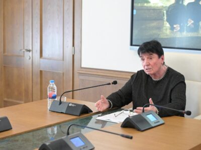 gaprindashvili новости 26 мая, Нона Гаприндашвили, разгон акции протеста в Тбилиси