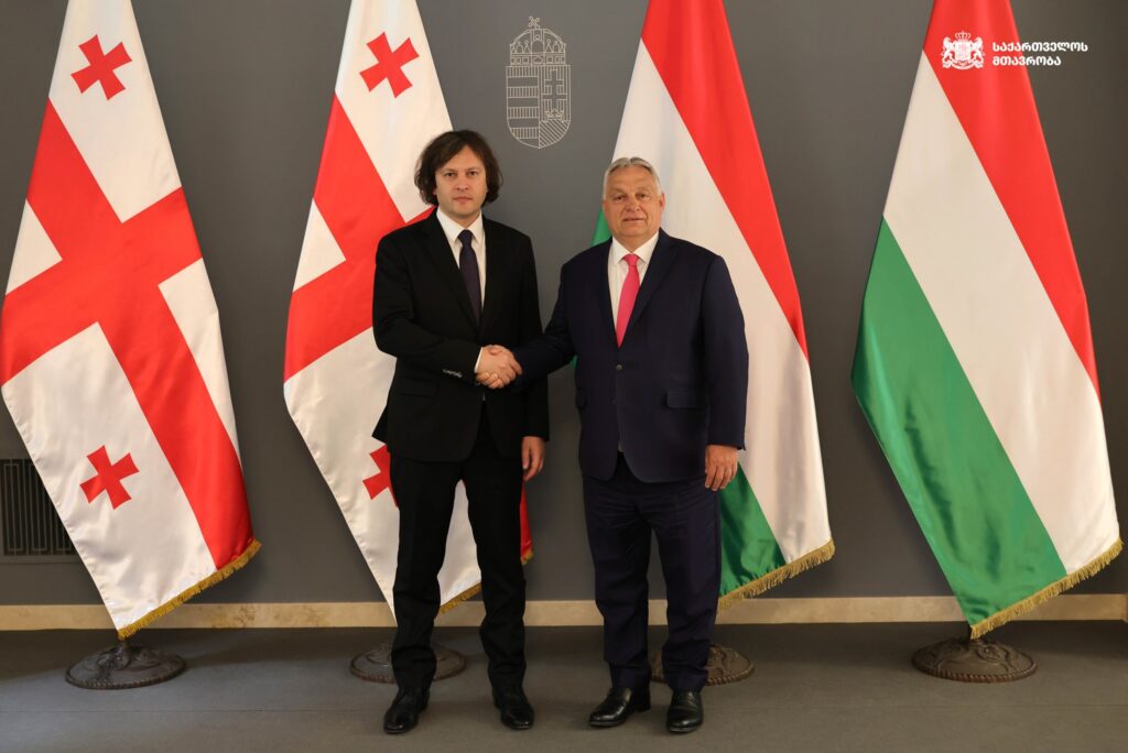 kobaxidze orban новости Грузия-Венгрия, Кобахидзе-Орбан