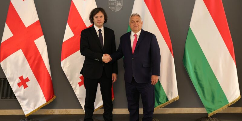 kobaxidze orban новости Грузия-Венгрия, Кобахидзе-Орбан