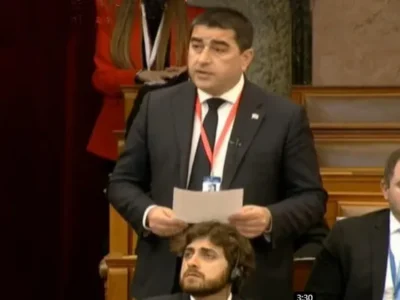 papuashvili новости Грузия-Евросоюз, Шалва Папуашвили