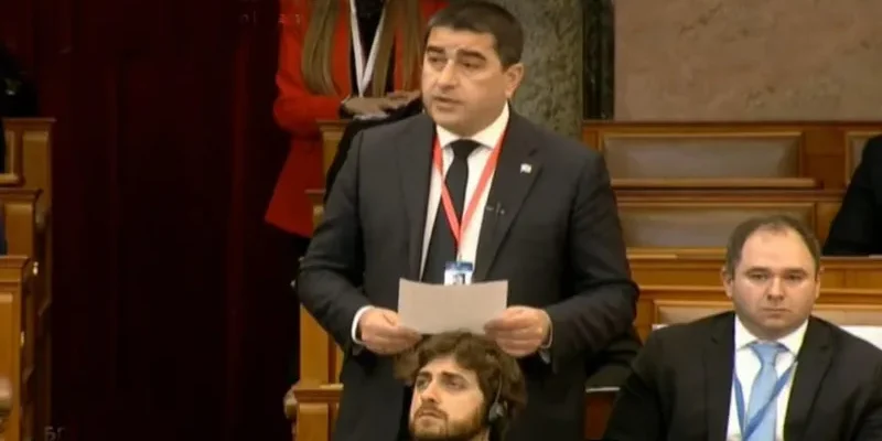 papuashvili новости Грузия-Евросоюз, Шалва Папуашвили