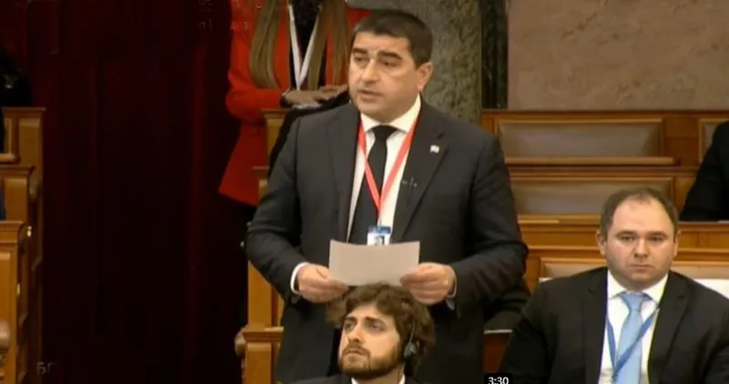 papuashvili новости Грузия-Евросоюз, Шалва Папуашвили